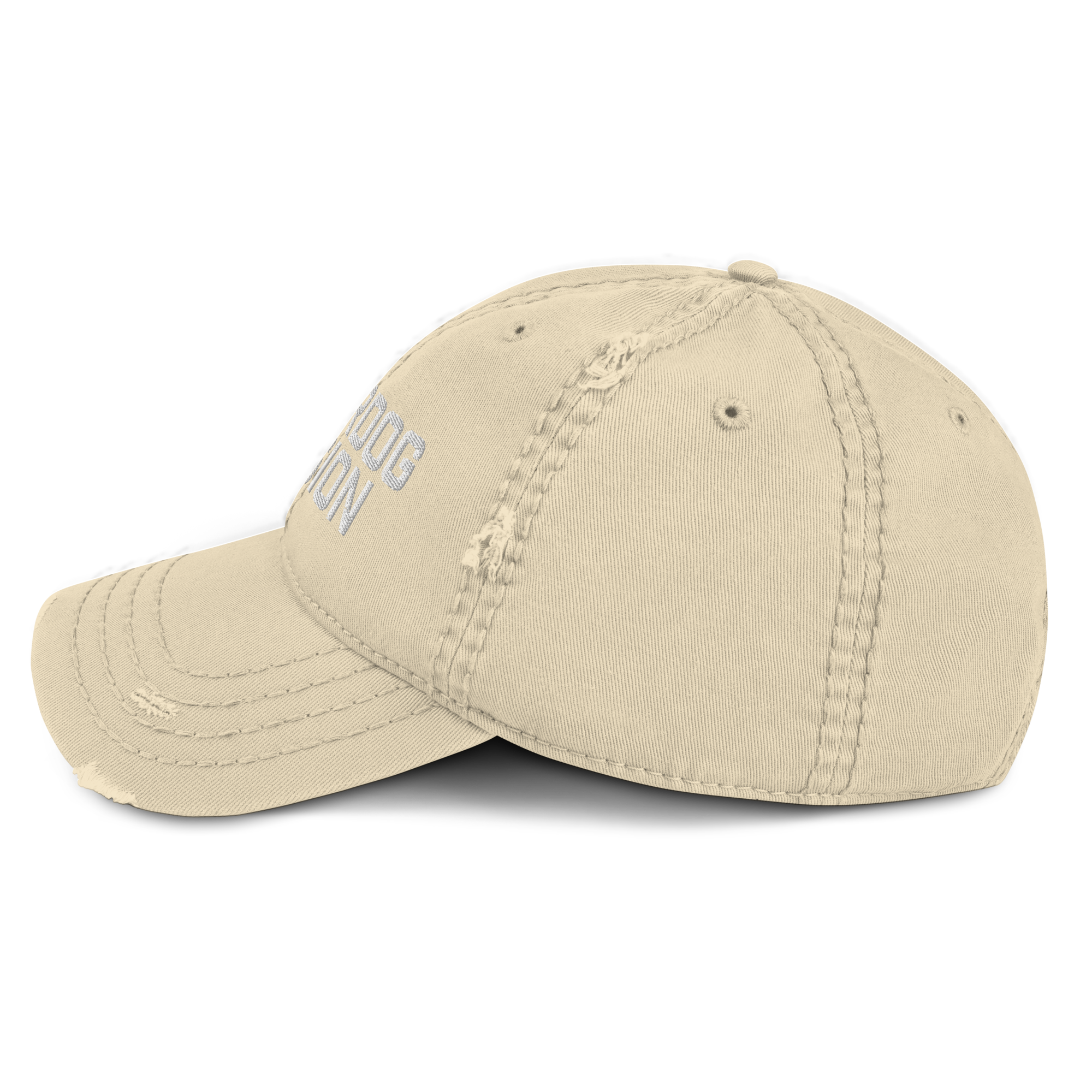 Division Distressed Embroidered Hat