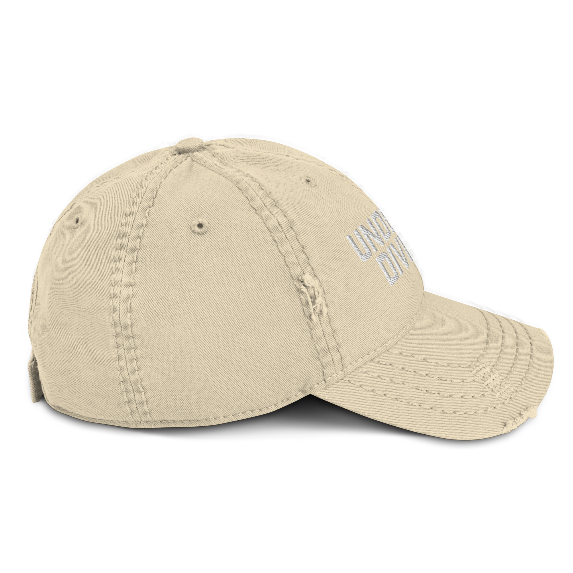 Division Distressed Embroidered Hat